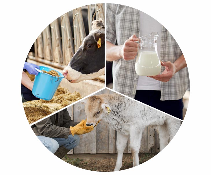 Real our products from Delamere Farm